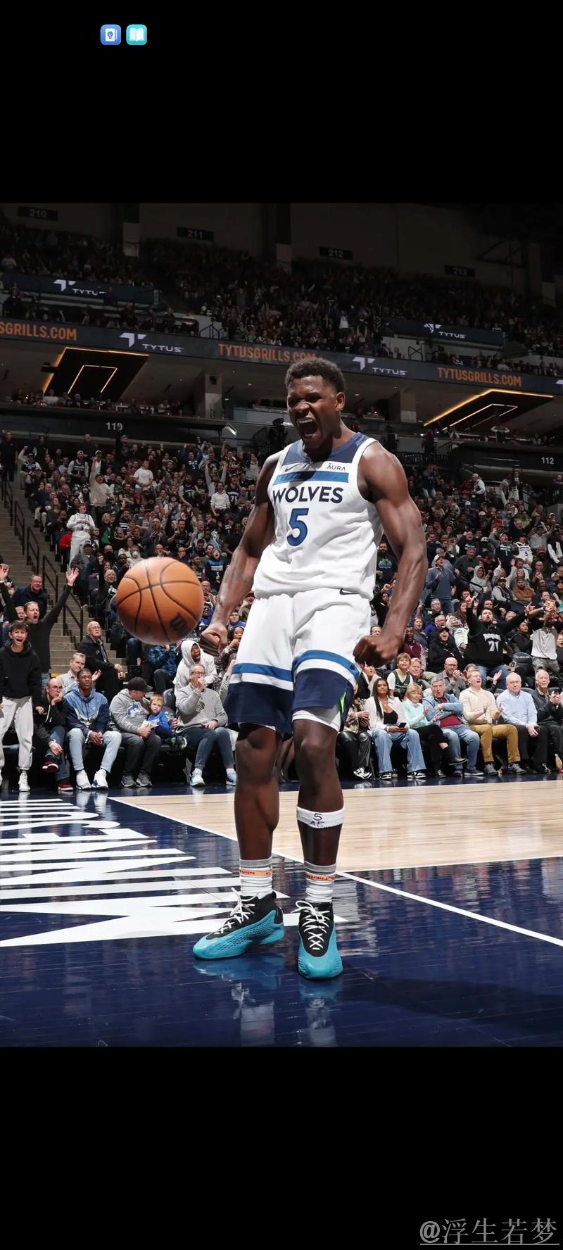 3月29日常规赛：森林狼对阵太阳 爱德华兹精彩表现