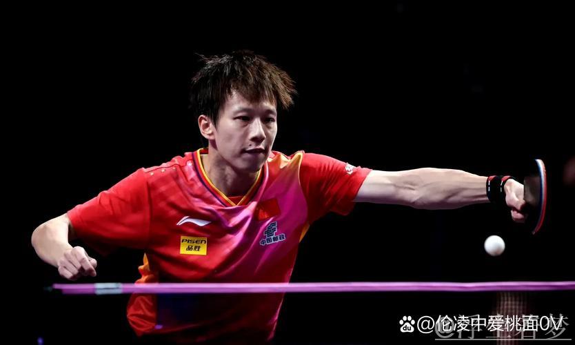 世乒联冠军赛仁川站:奥恰洛夫对阵林高远精彩回顾 世乒联冠军赛仁川站:奥恰洛夫对阵林高远精彩回顾